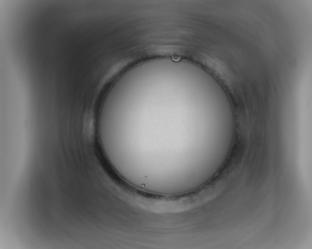 X0000112840016200908281601