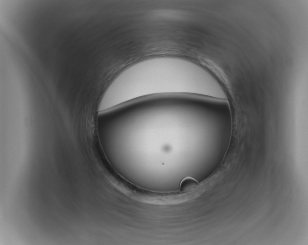 X0000112840017200908281601