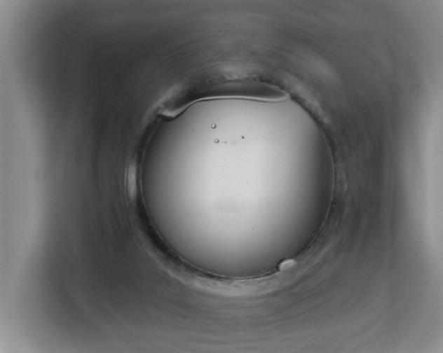 X0000112840019200908281601