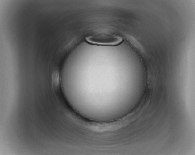 X0000112840021200908281601