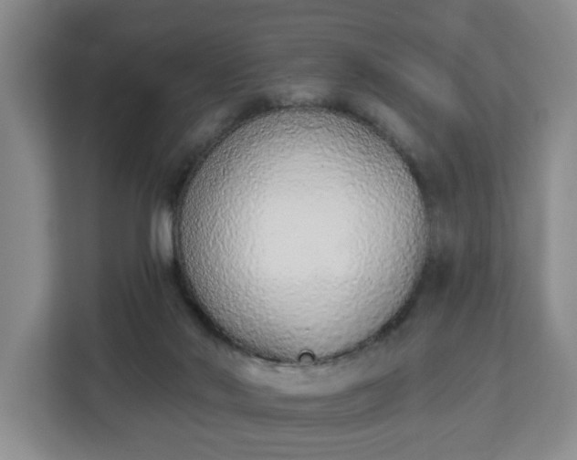 X0000112840022200908281601