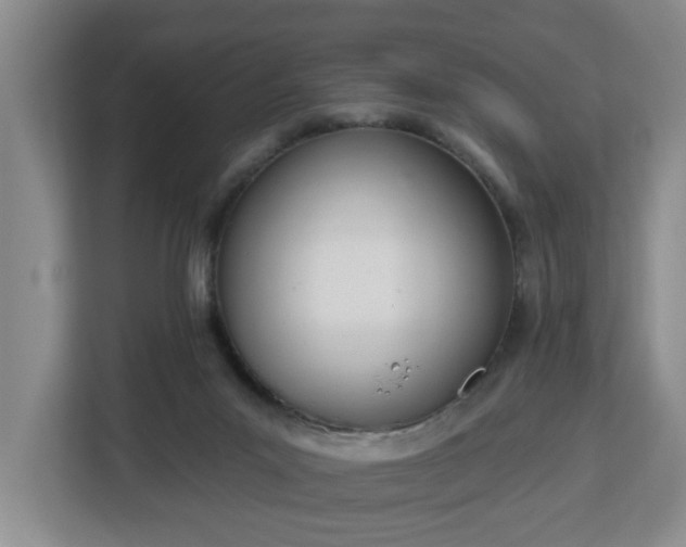 X0000112840023200908281601