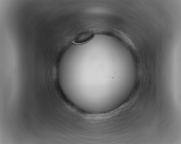 X0000112840025200908281601