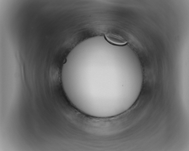 X0000112840029200908281601