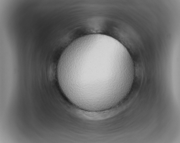 X0000112840030200908281601