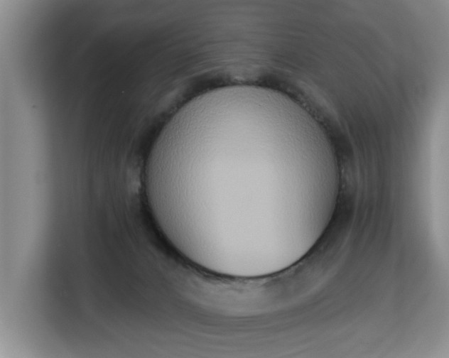 X0000112840032200908281601