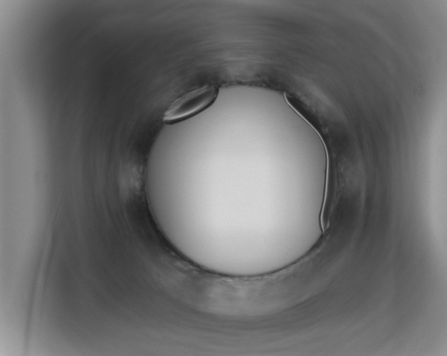 X0000112840033200908281601