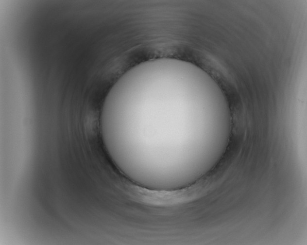 X0000112840034200908281601