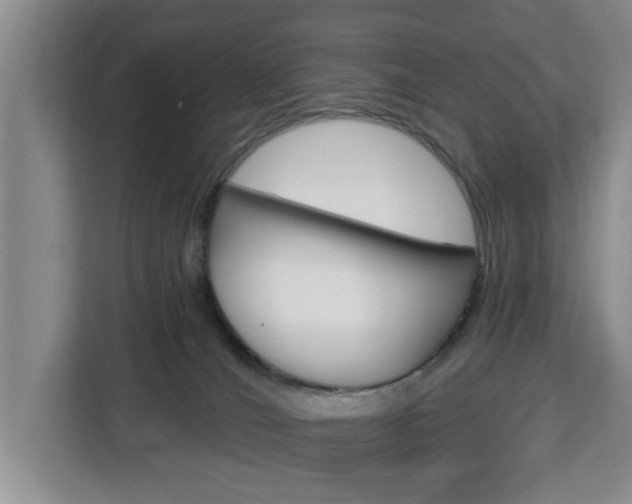 X0000112840036200908281601