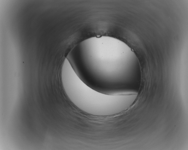 X0000112840037200908281600