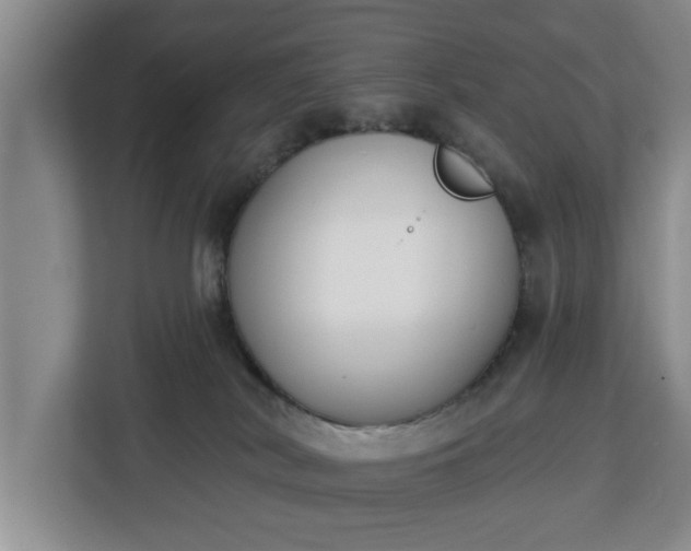 X0000112840038200908281600