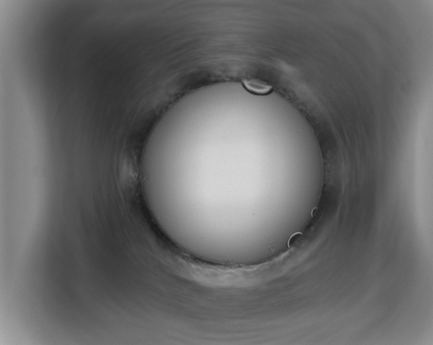 X0000112840040200908281600