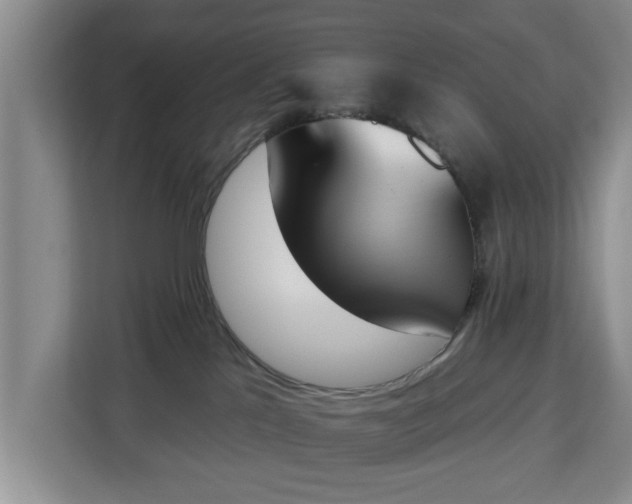 X0000112840041200908281600