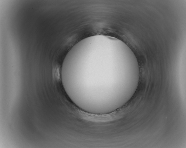 X0000112840042200908281600