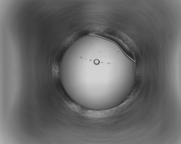 X0000112840045200908281600