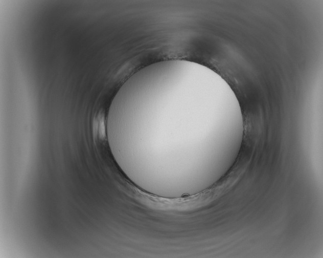 X0000112840046200908281600