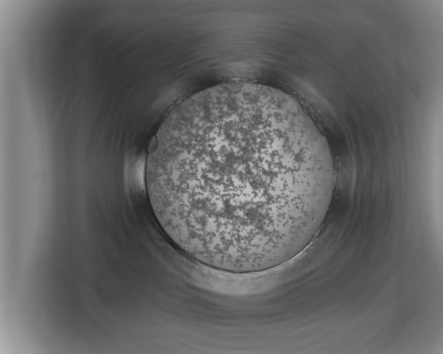 X0000112840047200908281600