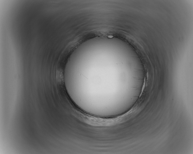 X0000112840048200908281600