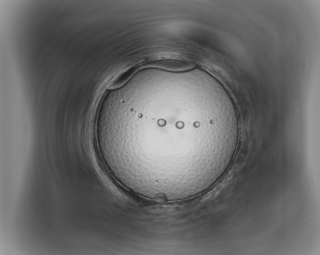 X0000112840049200908281600