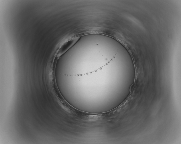 X0000112840050200908281600