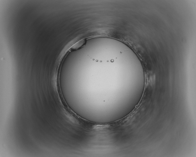 X0000112840051200908281600