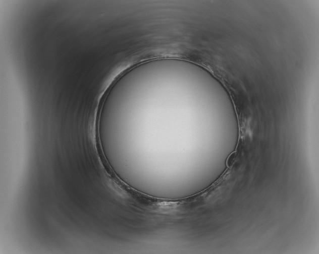 X0000112840052200908281600