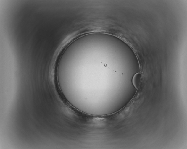 X0000112840055200908281600