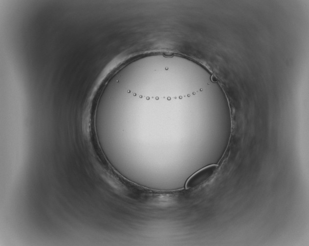 X0000112840056200908281600