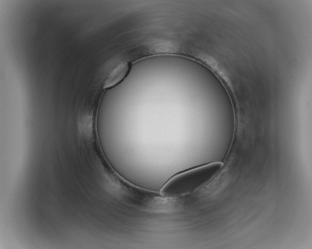 X0000112840057200908281600