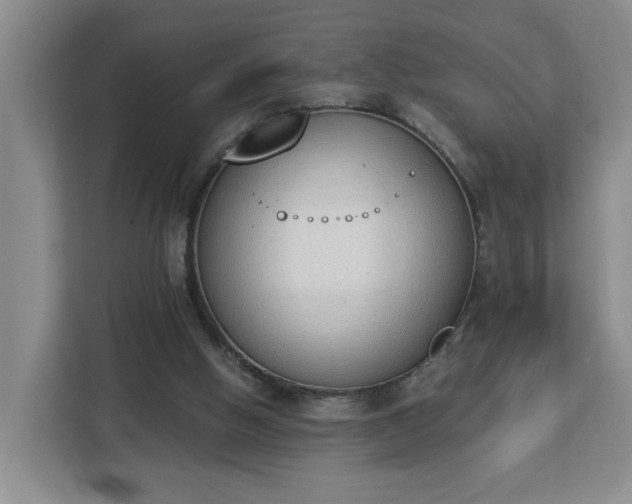 X0000112840058200908281600