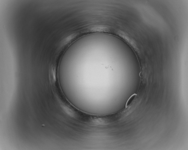 X0000112840062200908281600