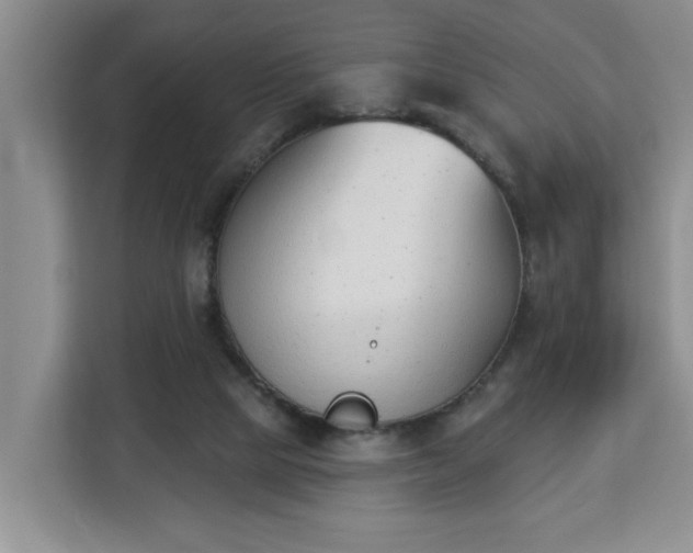 X0000112840065200908281600