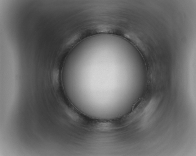 X0000112840066200908281600