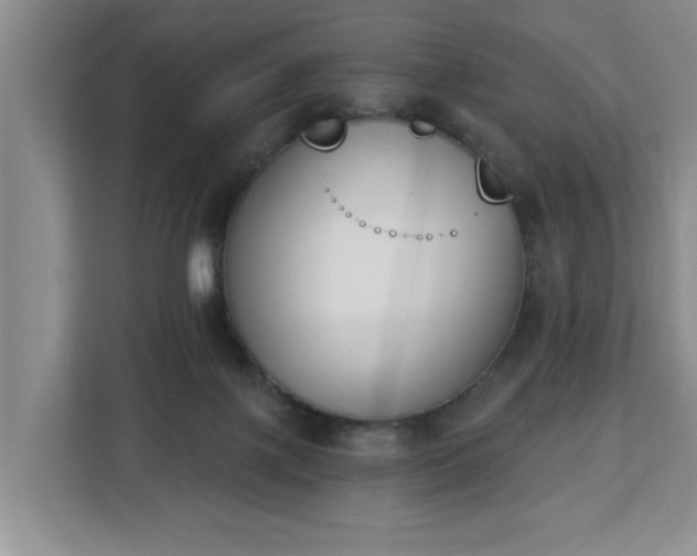 X0000112840075200908281600