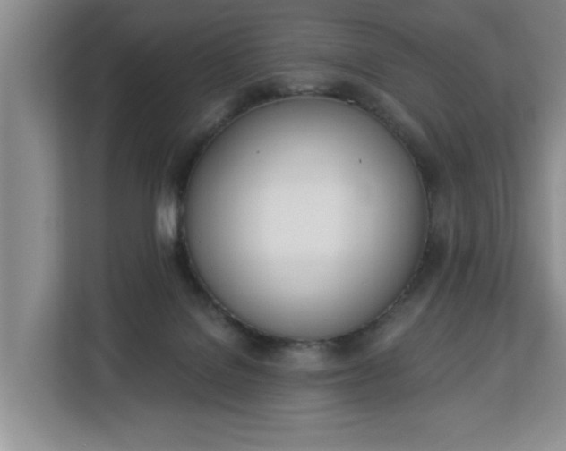 X0000112840076200908281600