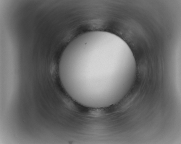 X0000112840079200908281600