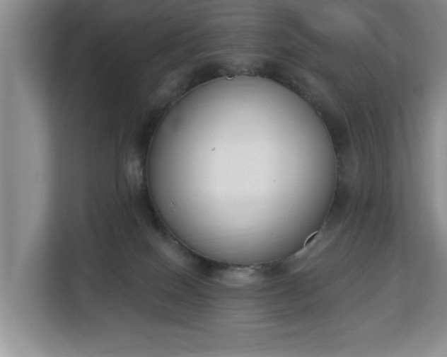 X0000112840086200908281600