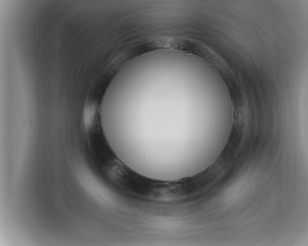 X0000112840095200908281600