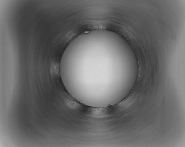 X0000112840096200908281600