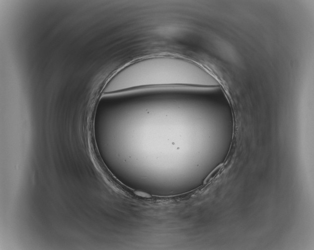 X0000112840097200908281600