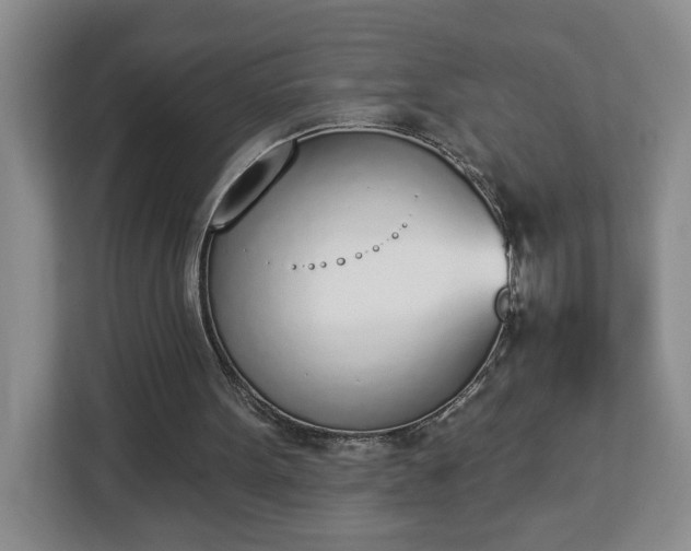 X0000112840099200908281600