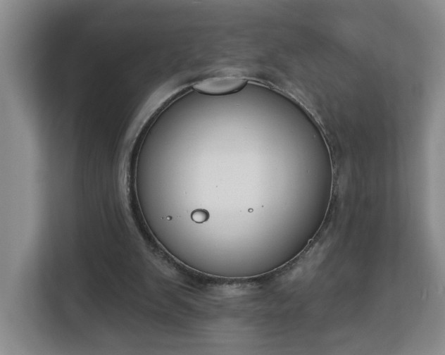 X0000112840103200908281600