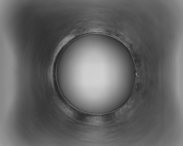 X0000112840104200908281600