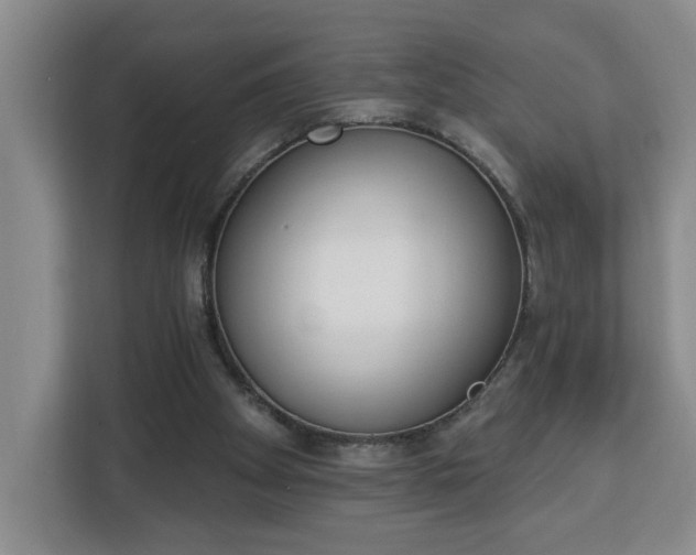 X0000112840105200908281600