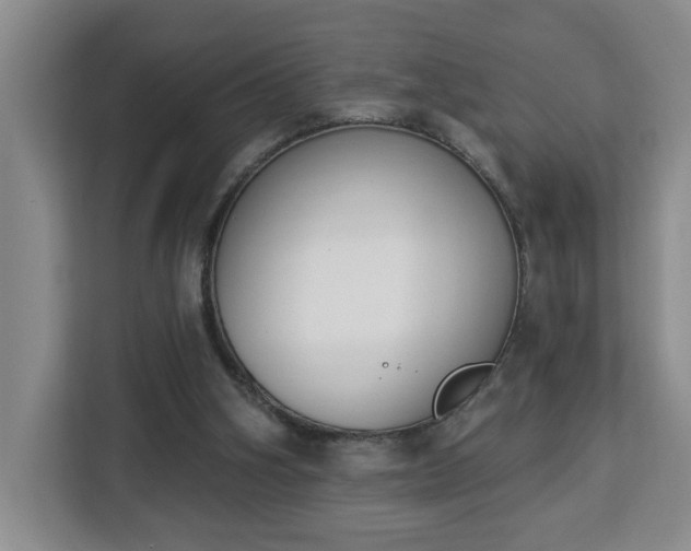 X0000112840106200908281600