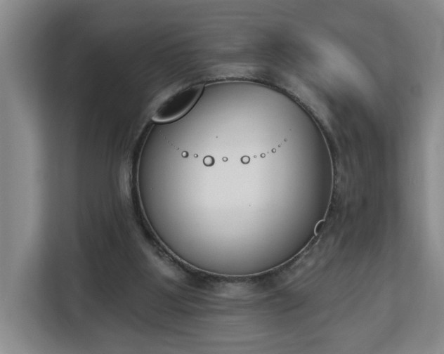 X0000112840107200908281559