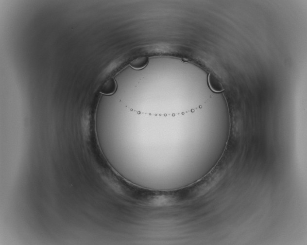 X0000112840111200908281559