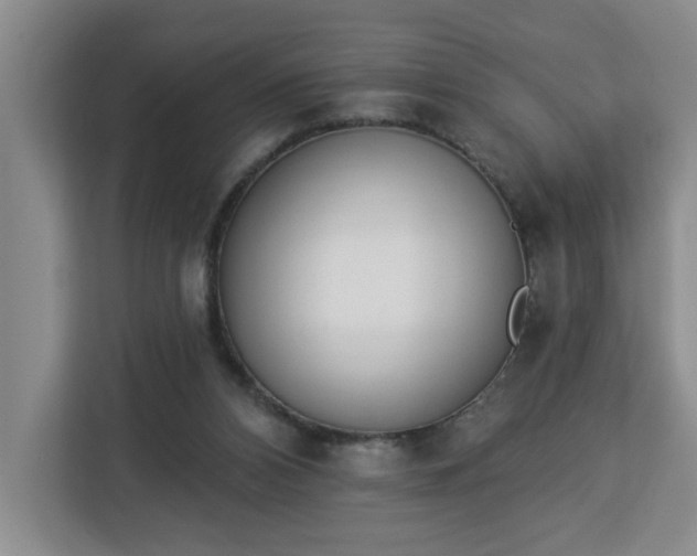 X0000112840112200908281559