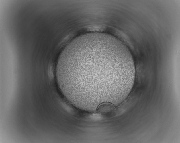 X0000112840114200908281559