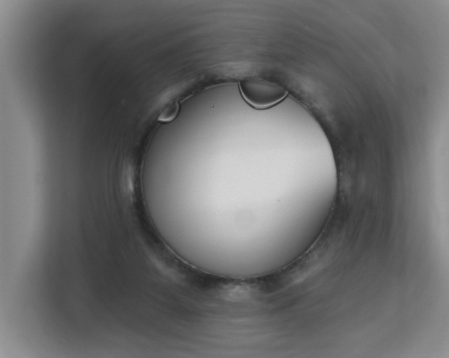 X0000112840115200908281559